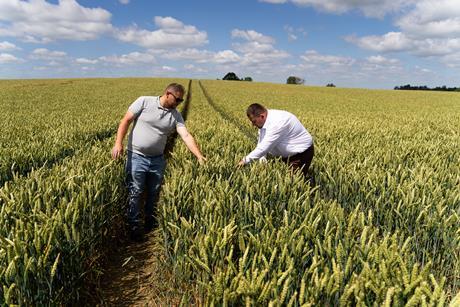 InSoil farmer visit