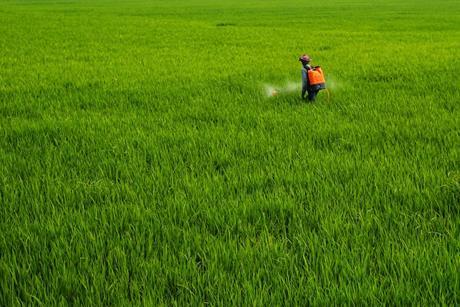 Farming Credit Pexels