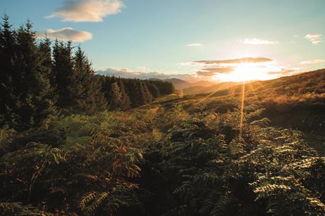 Foresight’s Fordie Estate in Scotland