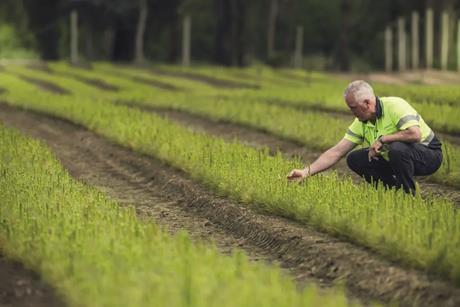 OneFortyOne Australia