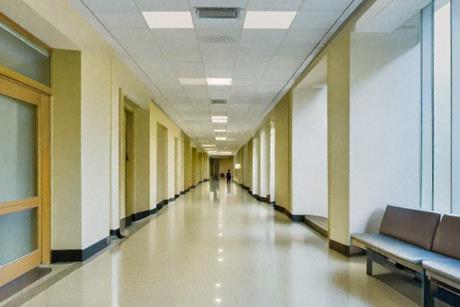 University, Education