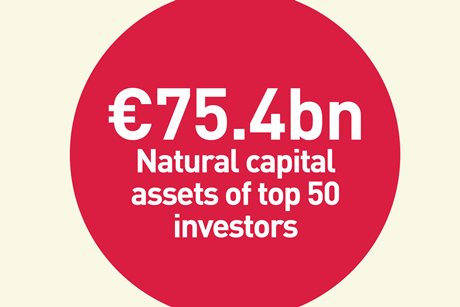 Top 50m Nat Cap investors 2025