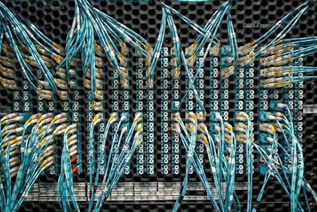 Fibre