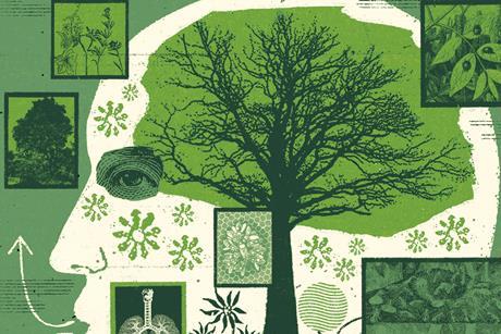 Natural Capital special report