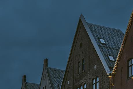 pexels-audstories-37019770