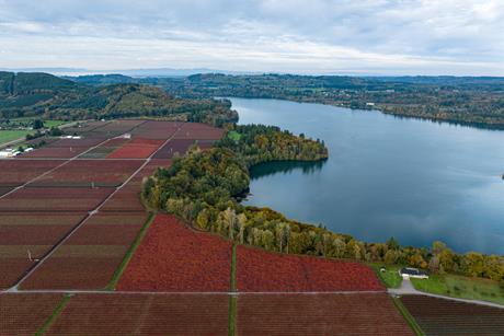 Van Lanschot Kempen - Pan Am Oregon and Washington