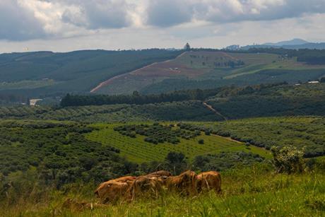 Ranch Credit Pexels