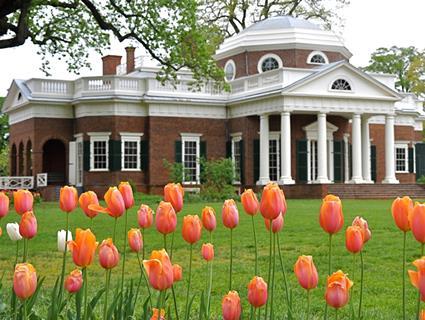 Monticello with tulips in foreground 