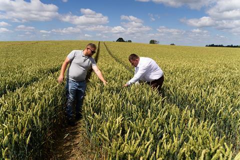 InSoil farmer visit