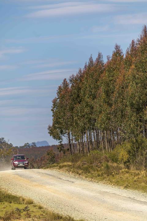 Forico hardwood estate in Tasmania