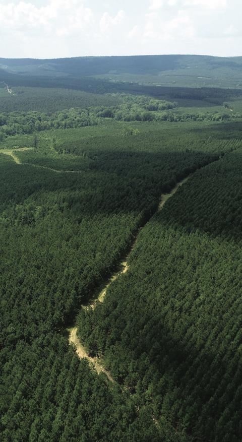 Oklahoma timberland owned by Campbell Global