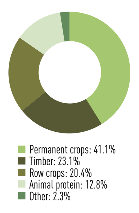 Sector breakdown of PSP Investments' natural capital assets: Permanent crops 41.1%; Timber 23.1%; Row crops 20.4%; Animal protein 12.8%; Other 2.3%)