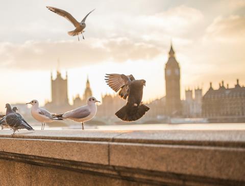 london