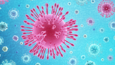 COVID19 virus