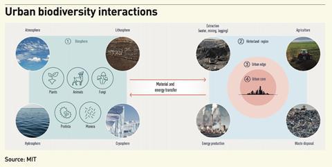 Urban biodiversity interactions