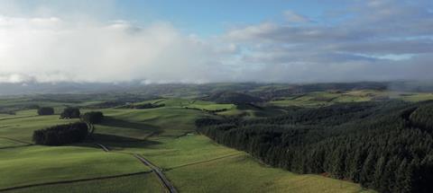 Brycheiniog forest in mid-Wales