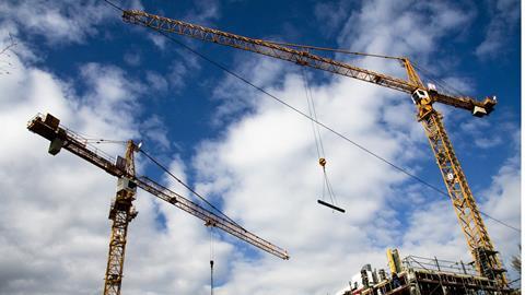 Cranes are still