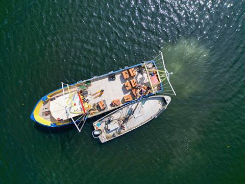 Oyster farming2 - Photos- Rebalance Earth : Oyster Heaven