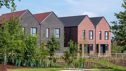 Show homes
