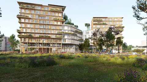 Bordeaux asset