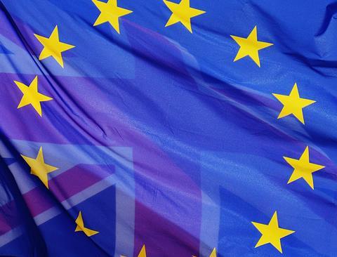brexit flags rs