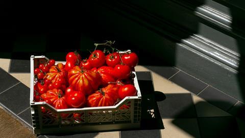 Food delivery apps need top tech