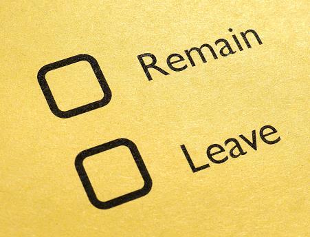 remain leave voting paper rs