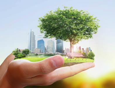 sustainability property rs