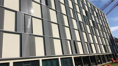 Linz asset