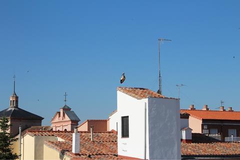 alcala