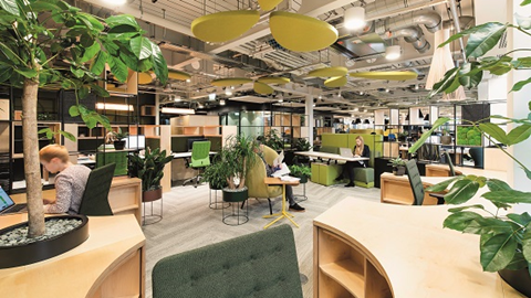 growth in flex offices