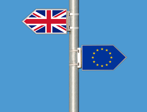 eu flag
