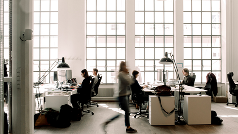 office dynamics
