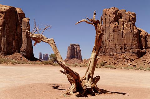 Land, water scarcity_LandCredit Pexels
