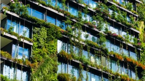 green data provider